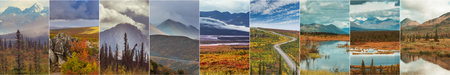 Picturesque Mountains of Alaska in autumn. Snow covered massifs, glaciers and rocky peaks, orange trees. Beautiful natural background.の写真素材