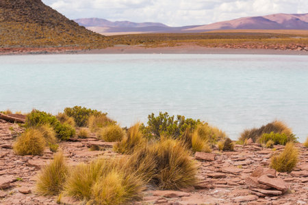 Altiplano Lake in  Andes mountains, Bolivia, South Americaの写真素材