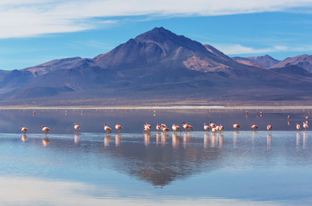 Beautiful natural landscapes in Atacama desert, northern Chileの写真素材