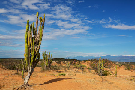 Unusual landscapes in Tatacoa desert, Colombia, South America