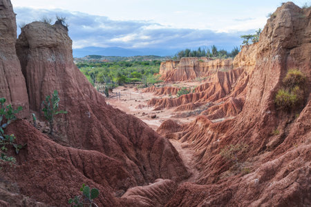 Unusual landscapes in Tatacoa desert, Colombia, South Americaの写真素材