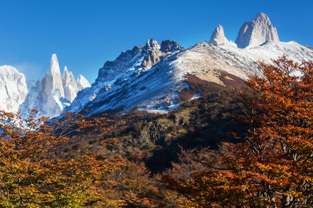 Famous Cerro Fitz Roy  and Cerro Torre- one of the most beautiful and hard to accent rocky peaks in Patagonia, Argentina. Autumn season.の写真素材