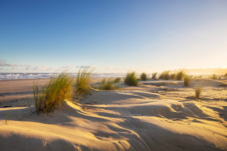 Beautiful sandy beach at sunset on the ocean coast. Brazil.の写真素材