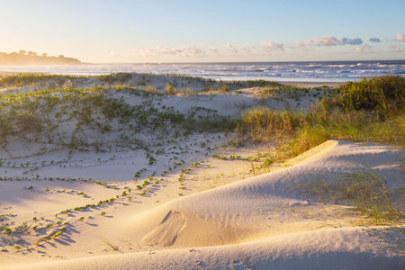 Beautiful sandy beach at sunset on the ocean coast. Brazil.の写真素材