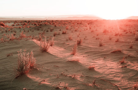 Desert landscape in Atacama, Chile, South America