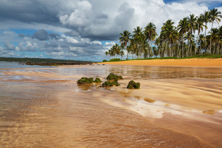 Beautiful summer landscapes  on the tropical beach. Vacation background.の写真素材