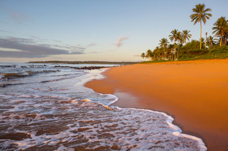 Beautiful summer landscapes  on the tropical beach. Vacation background.