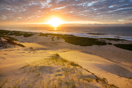 Sandy dunes on the ocean beach in Brazil.の写真素材
