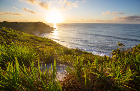 Beautiful sandy beach at sunset on the ocean coast. Brazil.の写真素材