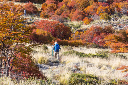 Hike in the autumn mountains. Fall season theme.の写真素材