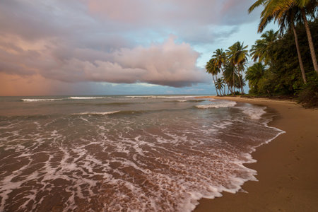 Beautiful summer landscapes  on the tropical beach. Vacation background.の写真素材