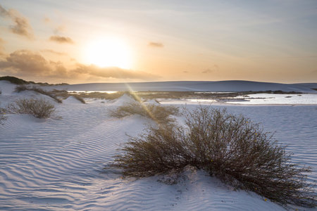 Lagoons in the desert of Lencois Maranhenses National Park, Brazil. Unusual natural landscapes.の写真素材