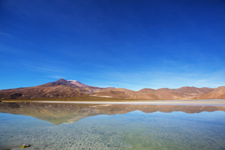 Altiplano Lake in  Andes mountains, Bolivia, South Americaの写真素材