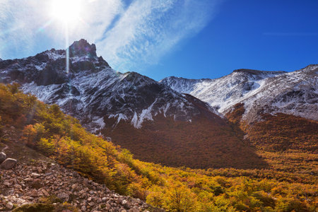 Autumn season in Patagonia mountains, South America, Argentinaの写真素材