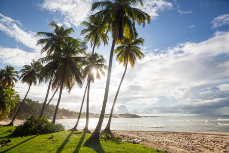 Beautiful summer landscapes  on the tropical beach. Vacation background.