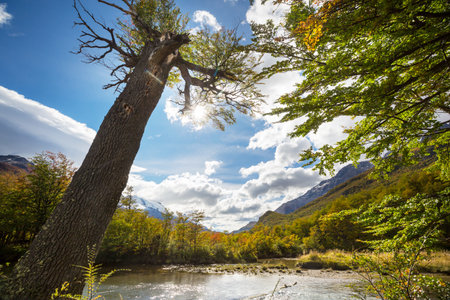 Autumn season in Patagonia mountains, South America, Argentinaの写真素材