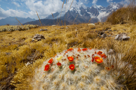 Beautiful mountains landscapes in Cordillera Blanca,  Peru, South Americaの写真素材