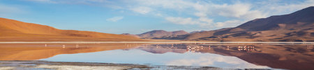 Altiplano Lake in  Andes mountains, Bolivia, South Americaの写真素材