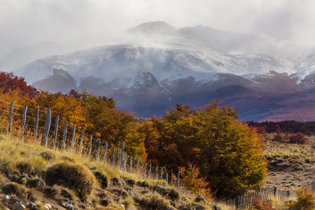 Autumn season in Patagonia mountains, South America, Argentinaの写真素材
