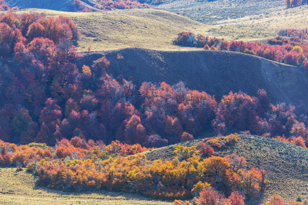 Autumn season in mountains. Colorful natural background.の写真素材