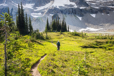 Backpackers  in the summer mountainsの写真素材