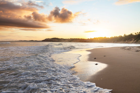 Beautiful summer landscapes  on the tropical beach. Vacation background.の写真素材