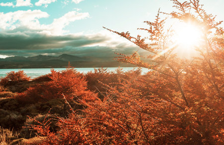 Perito Moreno National Park in Argentina, South America. Beautiful colorful autumn season.の写真素材
