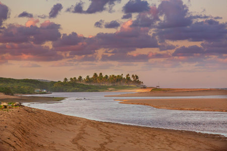 Beautiful summer landscapes  on the tropical beach. Vacation background.の写真素材