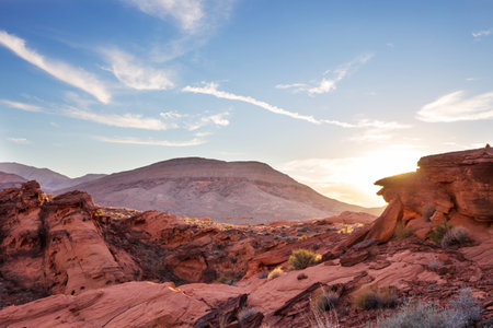 Desert landscapes in Nevada state, USAの写真素材