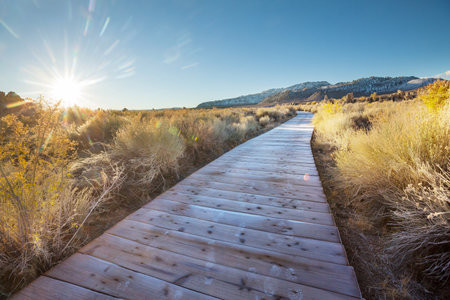 Wooden boardwalk in the prairie in California, USAの写真素材