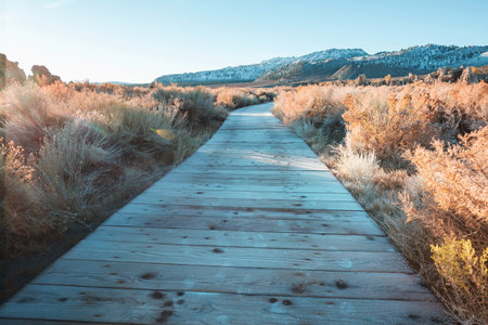 Wooden boardwalk in the prairie in California, USAの写真素材