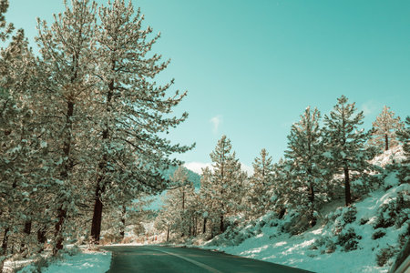 Rural  road in winter season. Beautiful winter forest.の写真素材