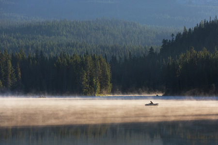 lake shore in the summer season at dawn