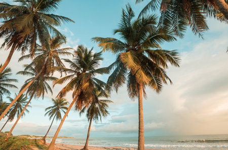 Beautiful summer landscapes  on the tropical beach. Vacation background.の写真素材