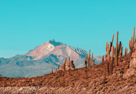 Big cactus on Incahuasi island, salt flat Salar de Uyuni, Altiplano, Bolivia. Unusual natural...