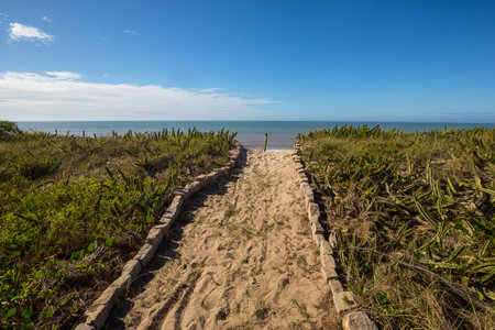 Beautiful summer landscapes  on the tropical beach in Brazil. Vacation background.の写真素材