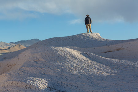 Tourist overview fantastic Scenic landscapes of Northern Argentina. Beautiful inspiring natural landscapes. Campo de Piedra Pomez near Antofagasta de la Sierra, Puna.の写真素材