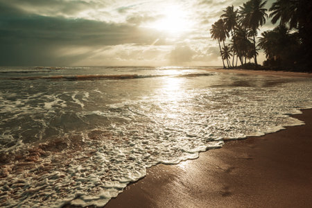 Beautiful summer landscapes  on the tropical beach. Vacation background.の写真素材