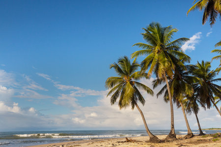 Beautiful summer landscapes on the tropical beach. Vacation background.の写真素材