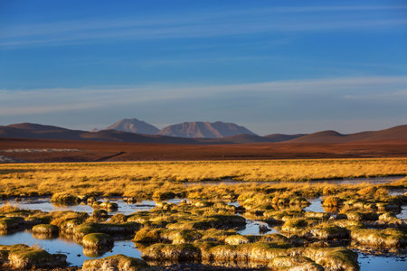 Fantastic Scenic landscapes of Northern Chile. Beautiful inspiring natural landscapes.の写真素材