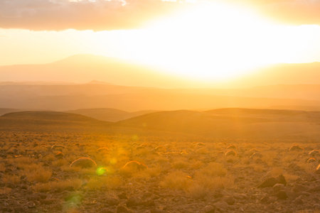 desert at sunrise, Chile, Atacama