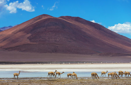 Fantastic Scenic landscapes of Northern Chile, Atacama desert. Beautiful inspiring natural landscapes.の写真素材