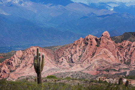 Beautiful natural landscapes in Northern Argentina. Gravel road among cactus.
