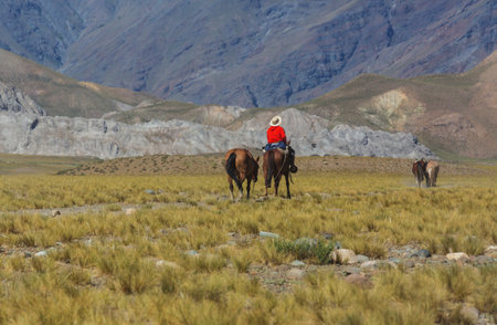 Gaucho on the horse in Argentinaの写真素材