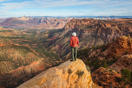 Hike in Zion National Park. Man walk on the trail  in Zion National park,Utah. Back turned no face visible.の写真素材