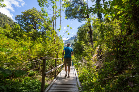 A man walks down a boardwalk in southern Chile. South America.の写真素材