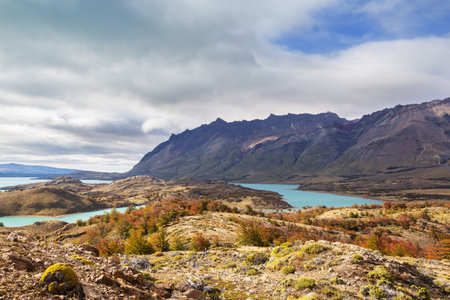 Autumn season in Patagonia mountains, South America, Argentinaの写真素材