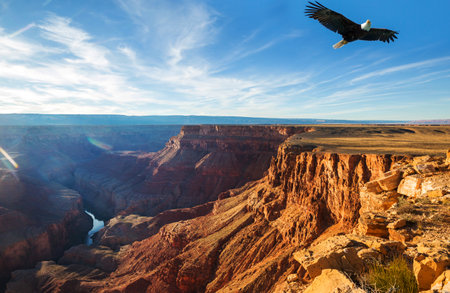 Picturesque landscapes of the Grand Canyon, Arizona, USA. Beautiful natural background. Sunrise view.の写真素材