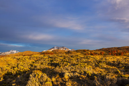 Autumn season in Patagonia mountains, South America, Argentinaの写真素材