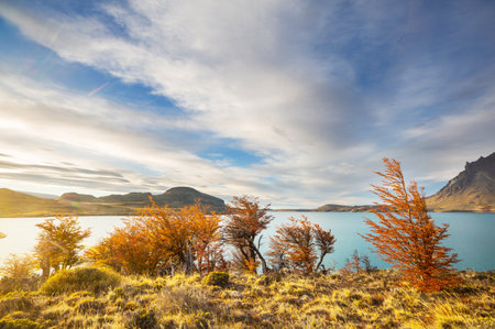 Autumn season in Patagonia mountains, South America, Argentinaの写真素材